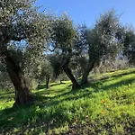 La Cianella - Adult Only Vakantieboerderij *