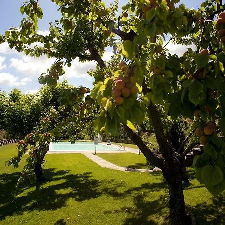 Agroturismo La Cianella - Adult Only