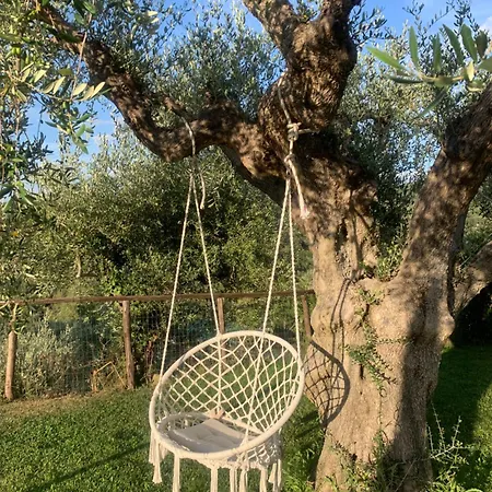 La Cianella - Adult Only Agroturismo