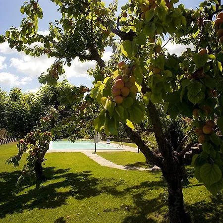 Farm stay La Cianella - Adult Only Scarlino