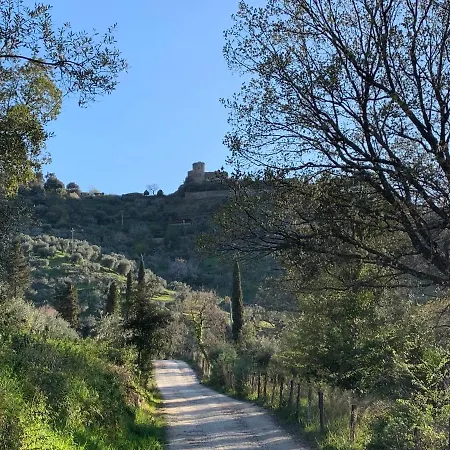 Agroturismo La Cianella - Adult Only