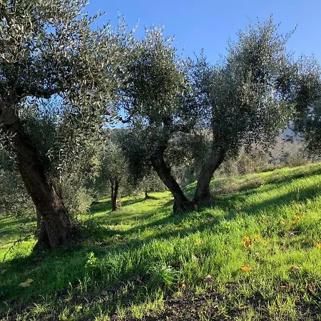 La Cianella - Adult Only Agroturismo *